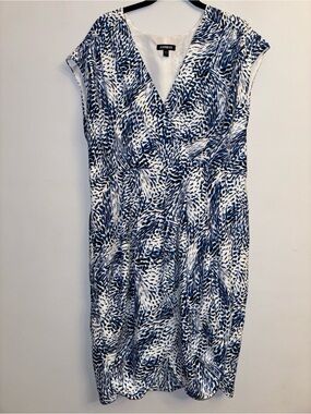 Express Blue & White V-Neck Dress